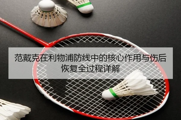 范戴克在利物浦防线中的核心作用与伤后恢复全过程详解
